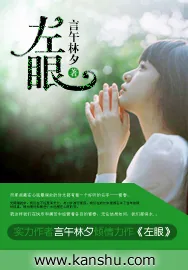 《左眼》小说封面