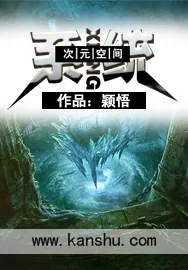 《次元空间系统》小说封面