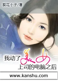 《我动了美女上司的电脑之后》小说封面