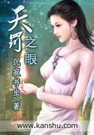 《天罚之眼》小说封面