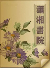 《穿成女配去修真》小说封面
