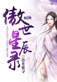 《傲世星辰录》小说封面
