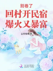《别卷了！回村开民宿，爆火又暴富》小说封面