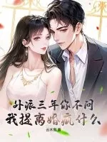 《外派三年你不问,我提离婚疯什么?》小说封面