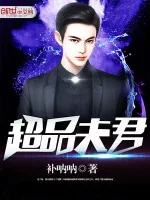 《超品夫君》小说封面