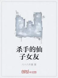 《杀手的仙子女友》小说封面