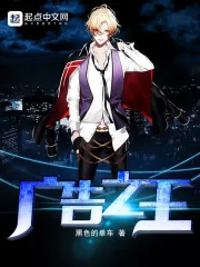 《广告之王》小说封面