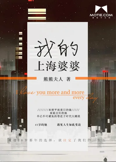 《我的上海婆婆》小说封面