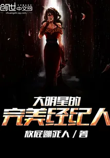 《大明星的完美经纪人》小说封面