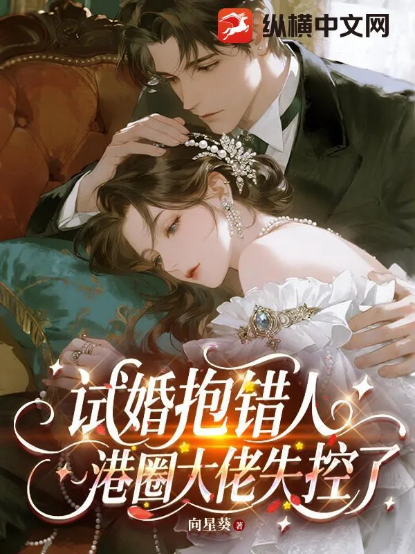 《试婚抱错人,港圈大佬失控了》小说封面
