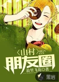《山村朋友圈》小说封面