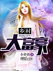 《乡村大富豪》小说封面