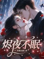 《烬夜不眠》小说封面