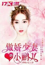 《傲娇少妻小鹂儿》小说封面
