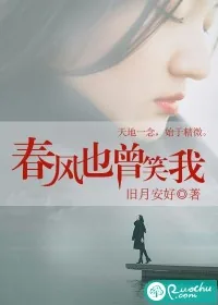 《春风也曾笑我》小说封面