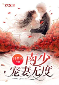 《南少宠妻无度》小说封面