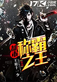 《都市称霸之王》小说封面