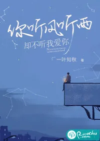 《你听风听雨，却不听我爱你》小说封面