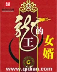 《龙王的女婿》小说封面