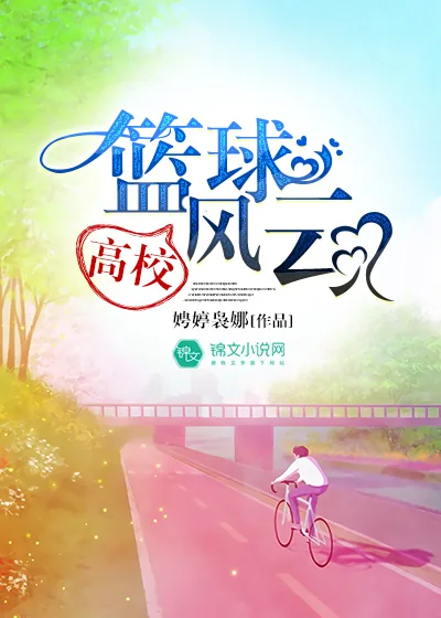 《高校篮球风云》小说封面