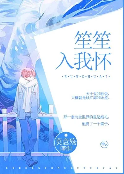 《笙笙入我怀》小说封面