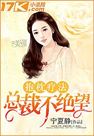 《抱枕疗法：总裁不绝望》小说封面