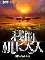 《我的机长大人》小说封面