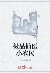 《极品仙医小农民》小说封面