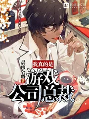 《我真的是游戏公司总裁》小说封面