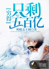 《穷得只剩五百亿》小说封面