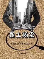 《暴土扬尘》小说封面