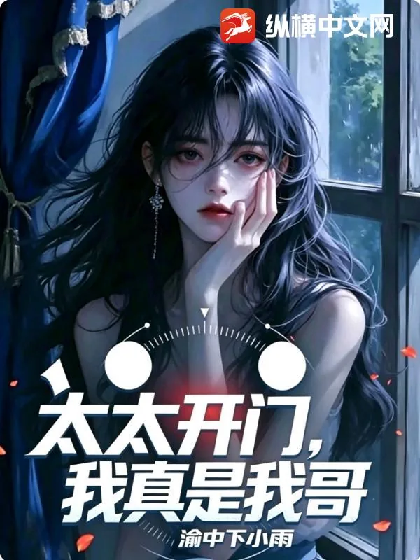 《太太开门,我真是我哥》小说封面