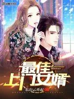 《最佳上门女婿》小说封面