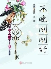 《不晚刚刚好》小说封面