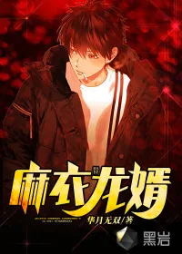 《麻衣龙婿》小说封面