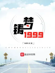 《铸梦1999》小说封面