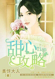《甜心攻略》小说封面