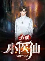 《逍遥小医仙》小说封面