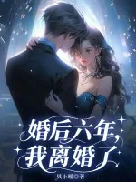 《婚后六年，我离婚了》小说封面