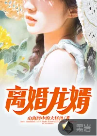 《离婚龙婿》小说封面