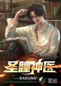 《圣瞳神医》小说封面