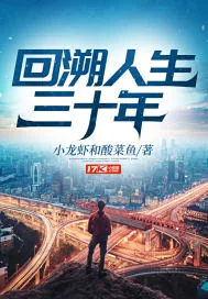 《回溯人生三十年》小说封面