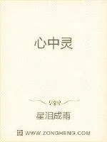 《心中灵》小说封面
