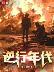 《逆行年代》小说封面