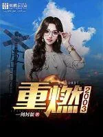 《重燃2003》小说封面