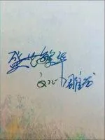 《繁华盛世之文心雕龙》小说封面
