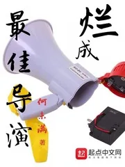 《烂成最佳导演》小说封面
