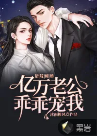 《错嫁缠婚:亿万老公乖乖宠我》小说封面