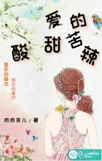 《爱的酸甜苦辣》小说封面