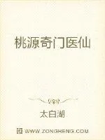 《桃源奇门医仙》小说封面